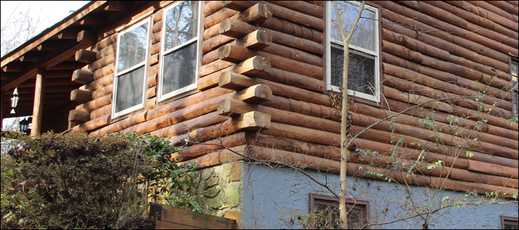 South Carolina Log Home Repair Lyman, South Carolina